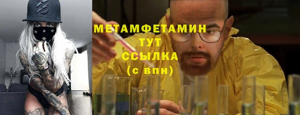 прущие грибы Сатка