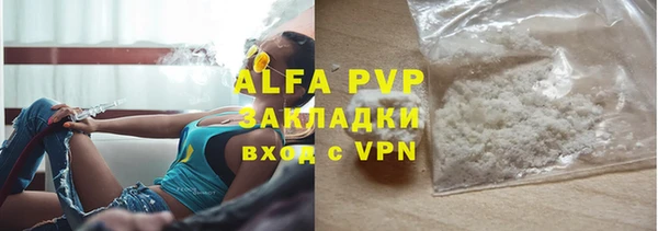 прущие грибы Сатка