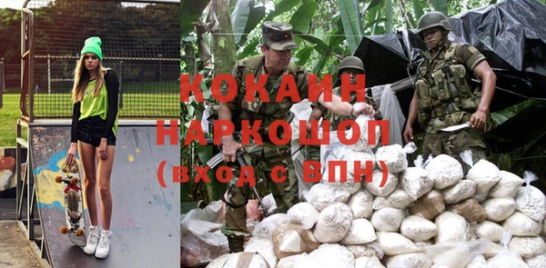 прущие грибы Сатка