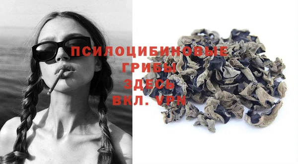 СК Абинск