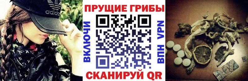 Псилоцибиновые грибы MAGIC MUSHROOMS  Белый 